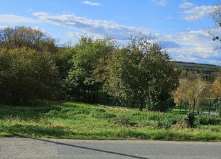2038 - Söjtör