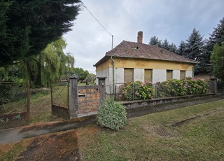2042 - Szalapa