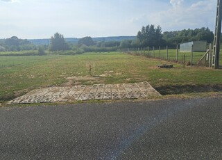 2019/1 - Kehidakustány